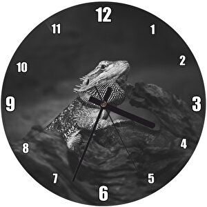 Karanlık Mod İguana Duvar Saati