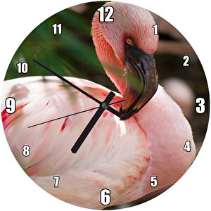 Pembeli Beyazlı Amerikan Flamingosu Görseli Duvar Saati