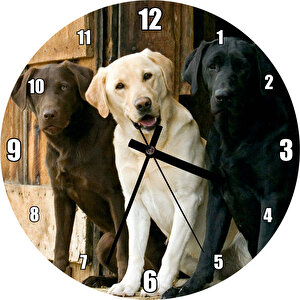 Kahve Krem Ve Siyah Labradorlar Duvar Saati
