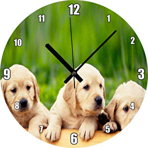 Kütüğün Üzerinde Üç Sevimli Labrador Duvar Saati