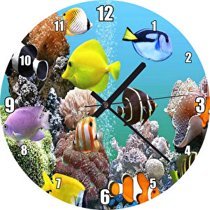 Deniz Akvaryumu Ve Rengarenk Balıklar Duvar Saati