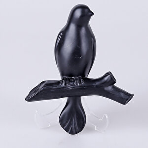 Mary 3'lü Dekoratif Kuş Siyah