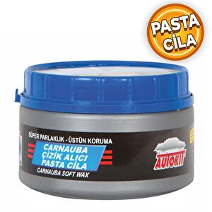 Pasta Cila Yün Polisaj Süngeri Oto Parlatma Parlatıcı Çizik Giderici Pedi Seti 115 Mm (12 Parça)