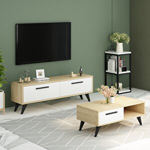 Active Iki Kapaklı Tv Ünitesi Tv Sehpası Safirmeşe Beyaz 120 Cm