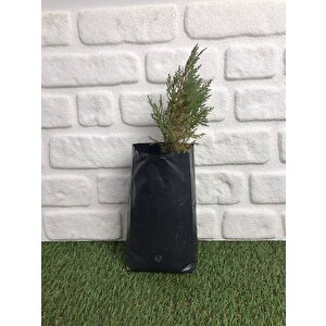 Viora 40 Litre Büzgülü Kokulu Çöp Torbası Poşeti / 55 X 60 Cm. - 15 Adetlik 1 Rulo