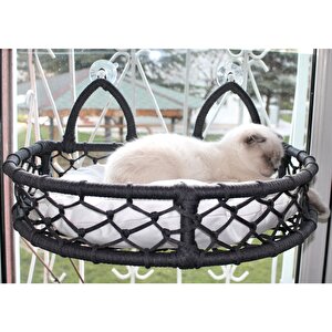 Cedric Kedi Cam Yatağı & Cam Askılı Vantuzlu Kedi Yatağı Antrasit Antrasit