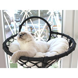 Grant Kedi Cam Yatağı & Cam Askılı Vantuzlu Kedi Yatağı Antrasit