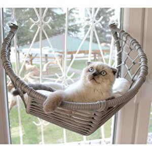 Harold Kedi Cam Yatağı & Cam Askılı Vantuzlu Kedi Yatağı Gri Gri