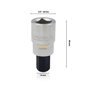 19 Mm 3/4”  Allen Uçlu Lokma C38s-h19