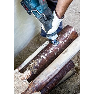 Bosch Expert S 1255 Chc Kalın Metal Panter Testere 1'li 2608900371