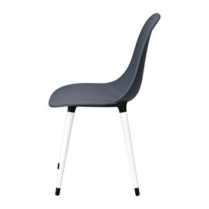 Vilinze Eames Beyaz Ahşap Ayak Plastik Füme Sandalye