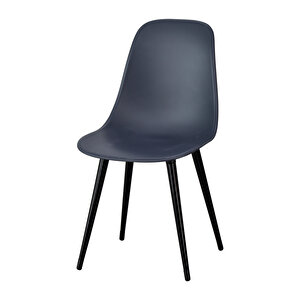 Vilinze Eames Siyah Ahşap Ayak Plastik Füme Sandalye