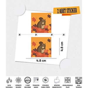 Çökölöz 2'li Set Sticker Çınar Extreme