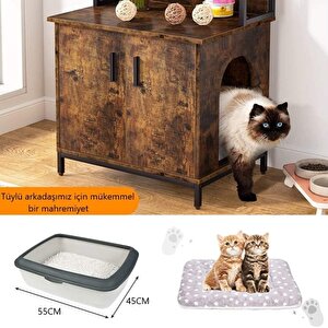 Tasarım Kedi Ve Köpek Yuvalı Düzenleyici