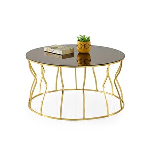 Lale Ayna Camlı Metal Orta Sehpa 80x42cm Altın