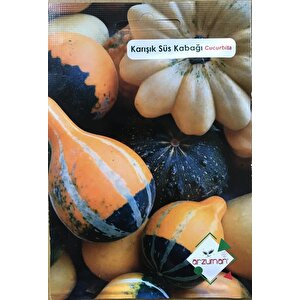 Karişik Süs Kabaği Tohumu 10 Adet
