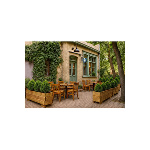 Doğal Ahşap Büyük Boy Salon Balkon Saksi Bahçe Çi̇çekli̇k Saksi  29cm X 74cm X 32cm