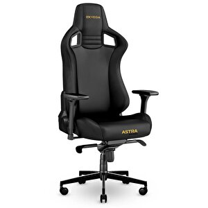 Exvega Astra Profesyonel Çalışma Ve Oyuncu Koltuğu
