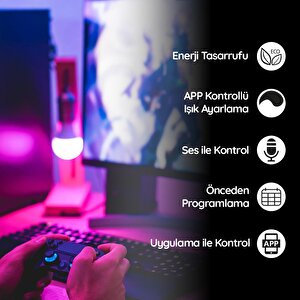 Akıllı Ev Giriş Seti - Join Akıllı Priz Ve Mood Akıllı Ampül 2'li Set
