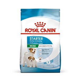 Royal Canin Mini Starter Yavru Köpek Maması 4 Kg