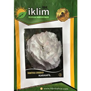 Karanfil Çiçeği Tohumu-2 Beyaz Takribi 50 Adet Tohum