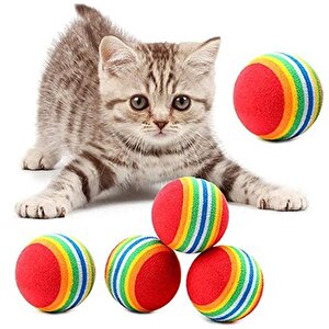 2 Adet Gökkuşağı Renkli Kedi Köpek Oyun Topu 4,2 Cm