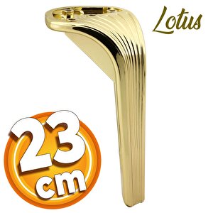 Lotus Lüks Mobilya Kanepe Sehpa Tv Ünitesi Koltuk Ayağı 23 Cm Gold Altın Baza Ayak