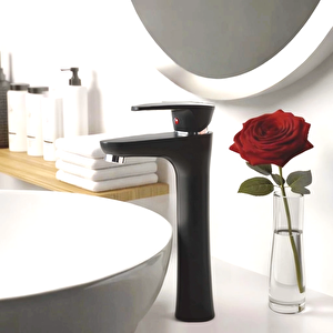 Siyah Mix Çanak Lavabo Bataryası 29 cm