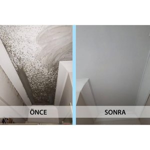 İsonem Ms 82 Rutubet Nem Küf Boyası 1 Kg Beyaz
