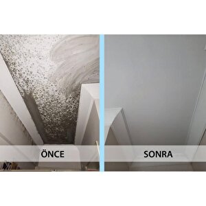 İsonem Ms 82 Rutubet Nem Küf Boyası 5 Kg Beyaz