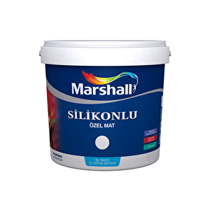 Silikonlu Özel Mat Iç Cephe Boyası 1 Lt Islak Kum