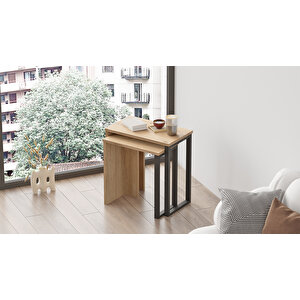 Robin Home Lidya 2'li Zigon Sehpa Yan Sehpa Metal Ayaklı Sepet