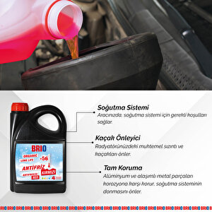 Antifriz Kırmızı 3 L -56 Derece