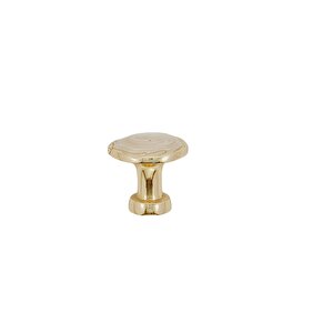 Ventus Gold Krem Düğme Tekli Kulp ( 5 Adet )