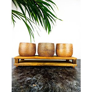 Ev Dekorasyon Aksesuar Kahverengi Granit Efektli Düz Toprak Saksı Üçlü Ahşap Tabanlı Çiçeklik Saksı Saksılık