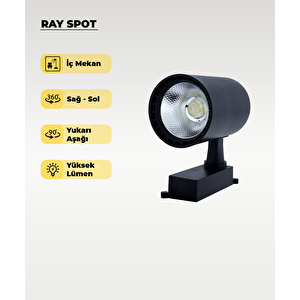 30w Siyah Ray Spot Belinda 3200K Sarı Işık