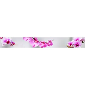 Mutfak Tezgah Arası Folyo Fayans Kaplama Folyosu Orkide Pembe 60x100 cm