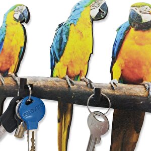 Cajuart Dal Üstünde Üç Renkli Papağan Anahtarlık Hol Duvar Askılık Süs