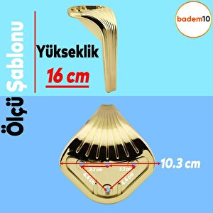 Lotus 6'lı Set Mobilya Tv Ünitesi Çekyat Koltuk Kanepe Destek Ayağı 16 Cm Altın Ayak M8 Civatalı