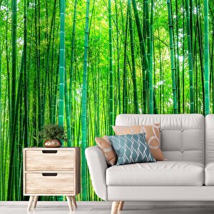 Bambu Orman Desenli Isı Ve Ses Yalıtımlı Sağlık Dostu Kumaş Poster Duvar Kağıdı 350x250 cm