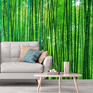 Bambu Orman Desenli Isı Ve Ses Yalıtımlı Sağlık Dostu Kumaş Poster Duvar Kağıdı 350x250 cm