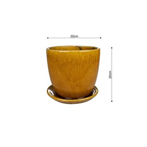 Rico Tabaklı Saksı Bal Rengi Çap 22cm Yükseklik 20cm