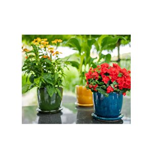 Rico Tabaklı Saksı Bal Rengi Çap 22cm Yükseklik 20cm