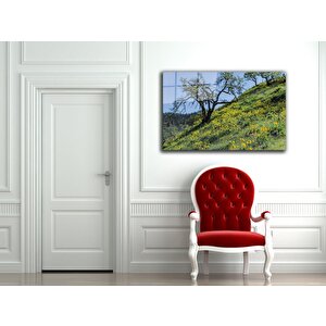 Doğa Tablo 50x70 cm