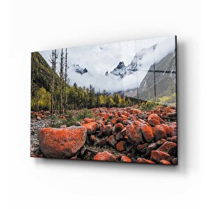 Doğa Tablo 50x70 cm