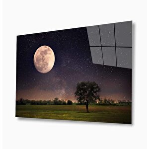 Doğa Cam Tablo 90x60 cm