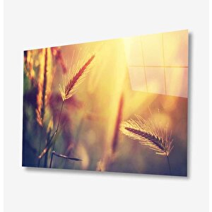 Doğa Cam Tablo 90x60 cm