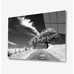Doğa Cam Tablo 90x60 cm