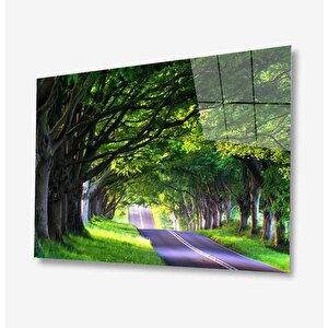 Doğa Cam Tablo 50x70 cm