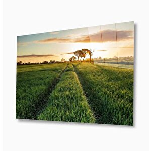 Doğa Cam Tablo 50x70 cm